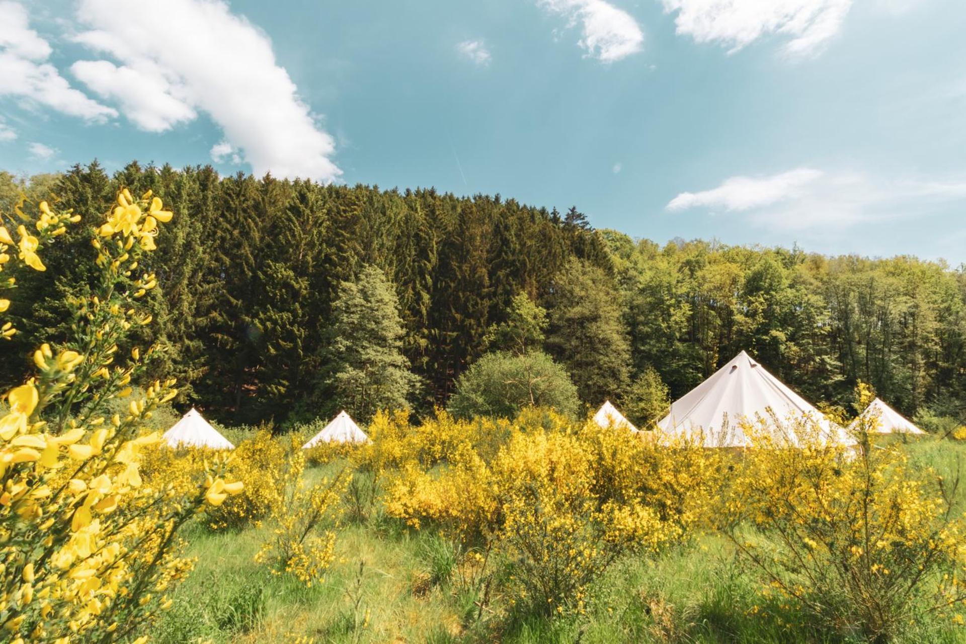 Daft Hotel & Glamping Мальмеди Экстерьер фото